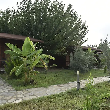 Serenity Hotel Çıralı